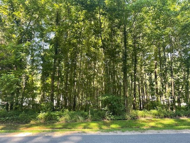 Property Photo:  Lot 79 Seaside Rd  VA 23310 