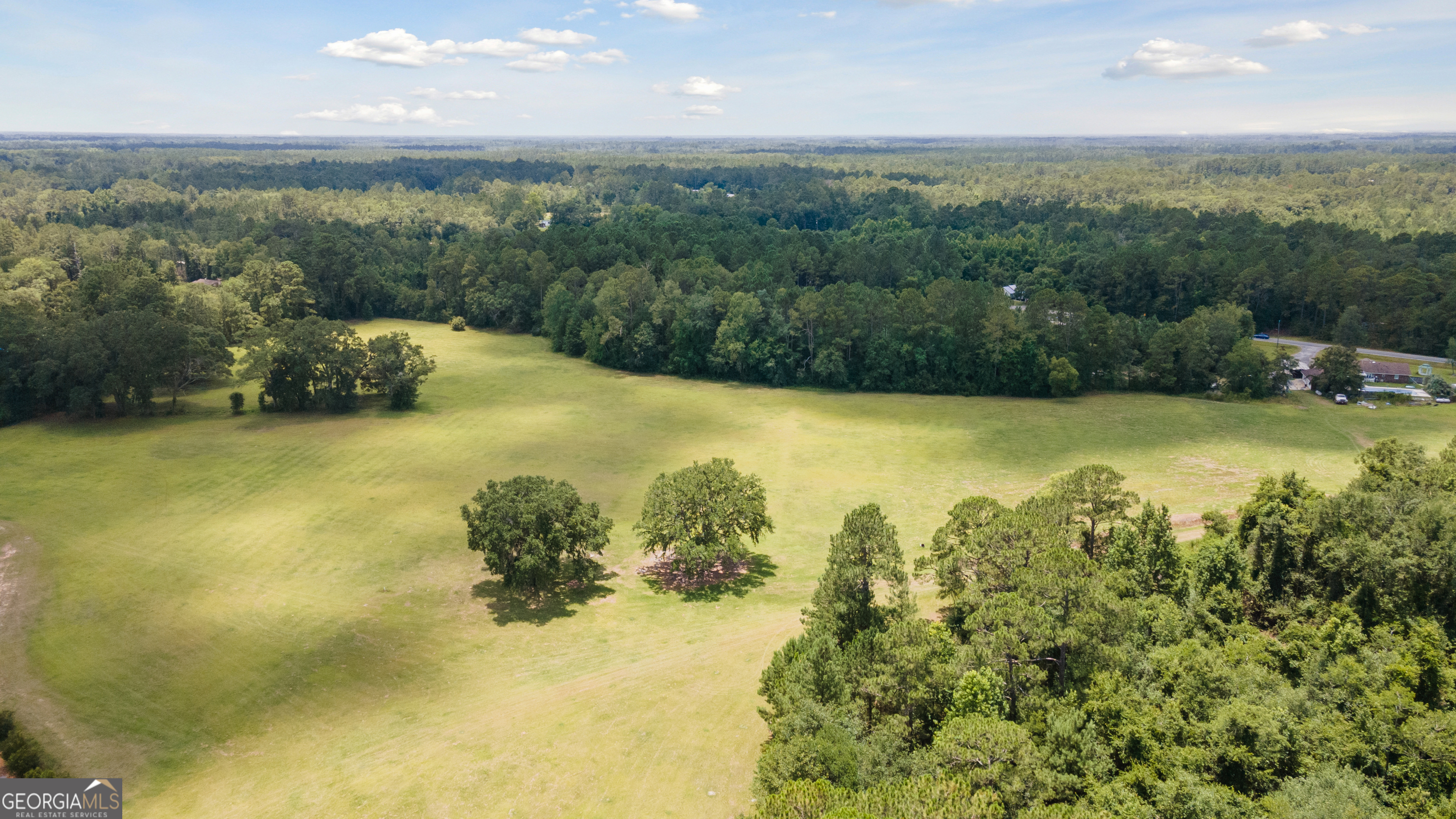 Property Photo: 35+ Acres Wells Road GA 31313
