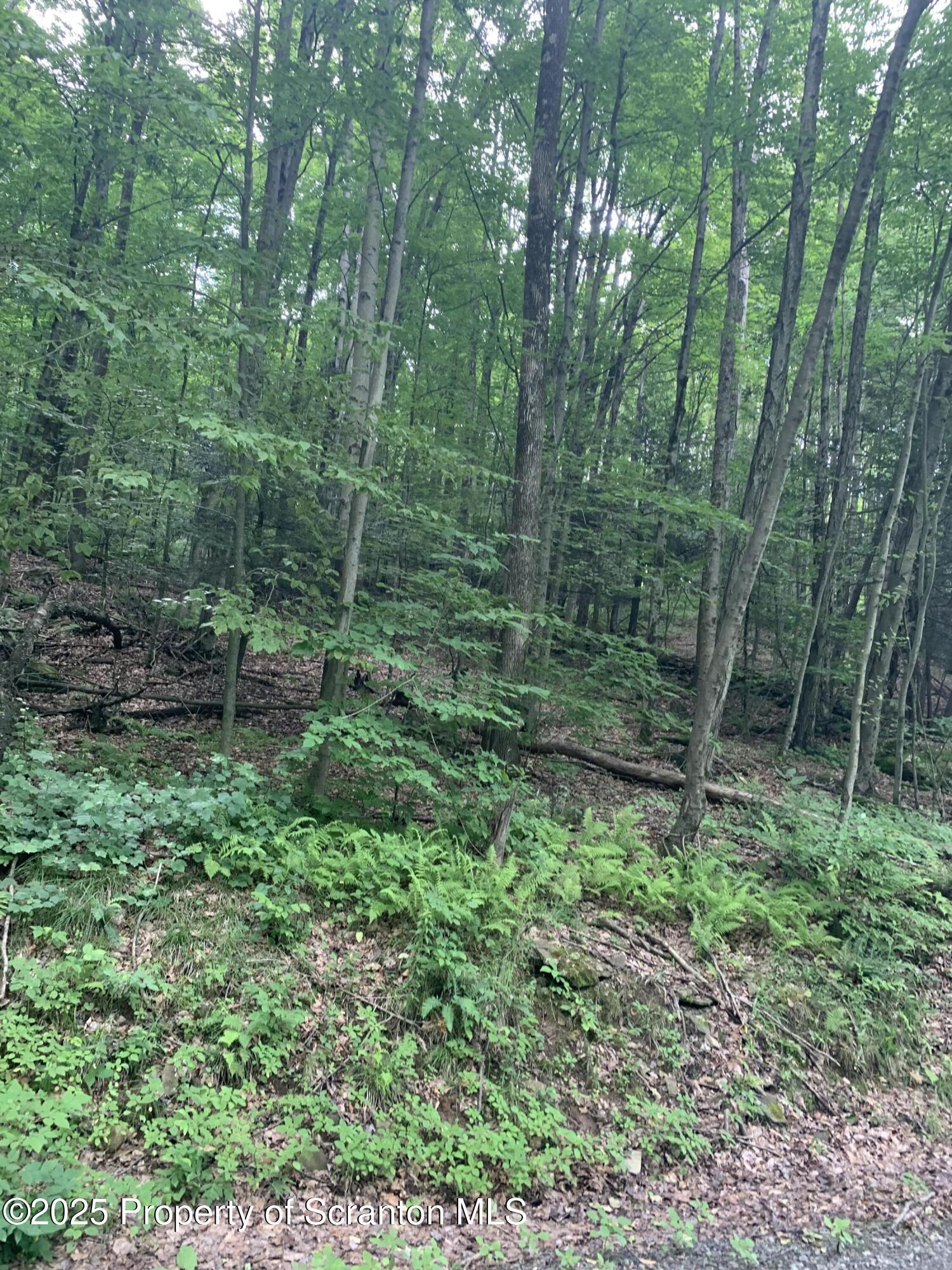 Property Photo: 0 Butterfield Road PA 18834