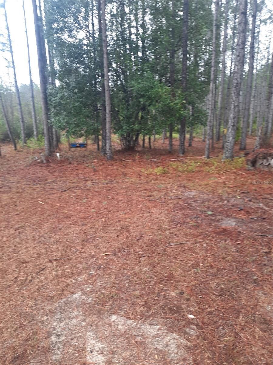 Property Photo: 540 SW 326th Avenue FL 32359