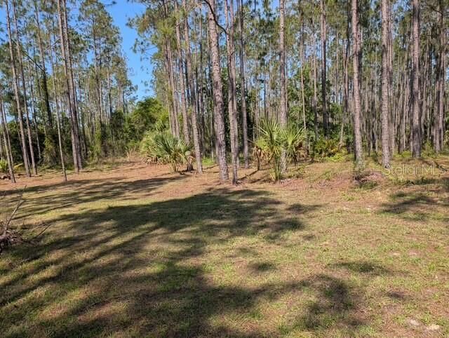 Property Photo:  540 SW 326th Avenue  FL 32359 