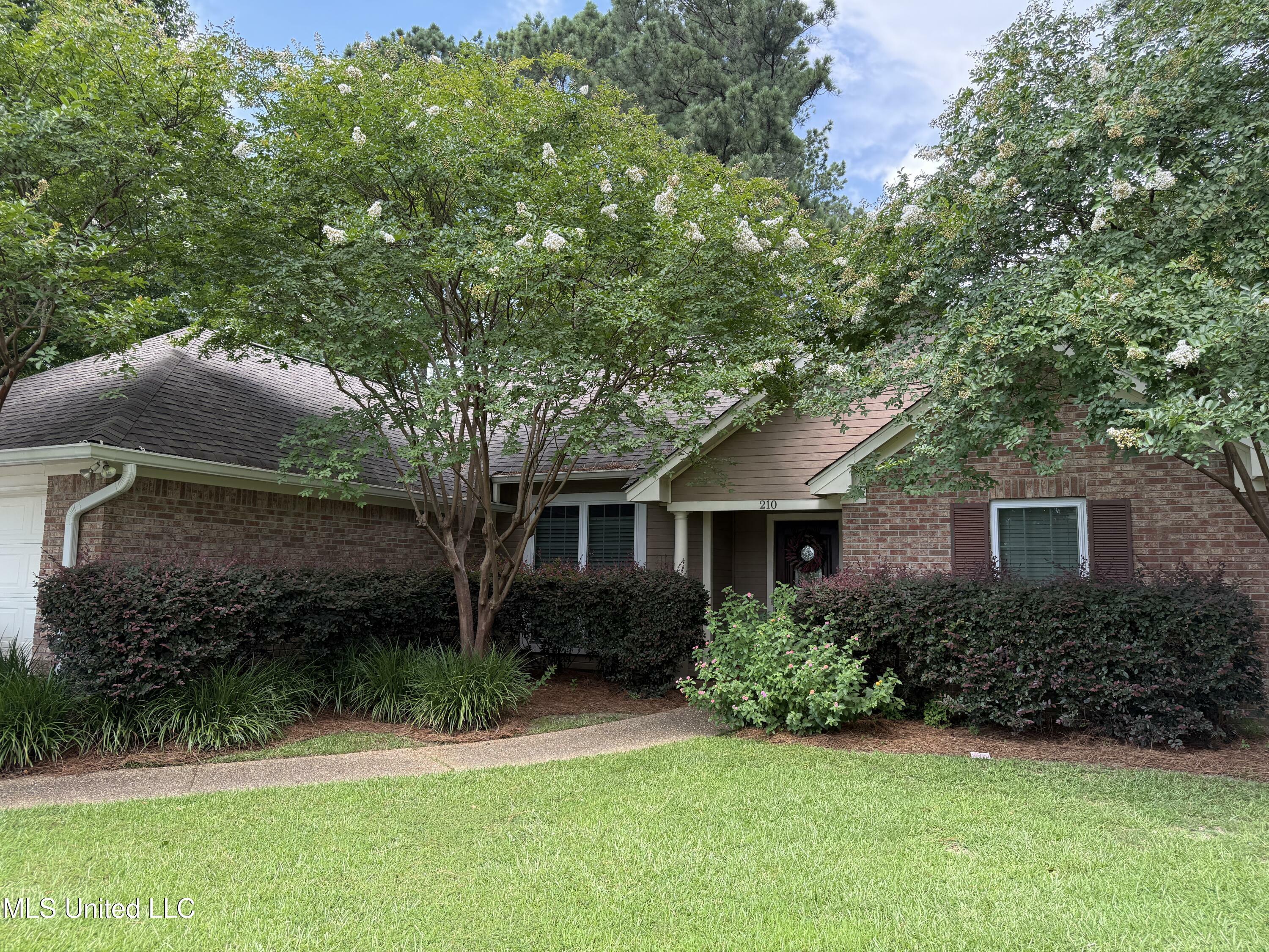 Property Photo: 210 Laurel Oak Cove MS 39047