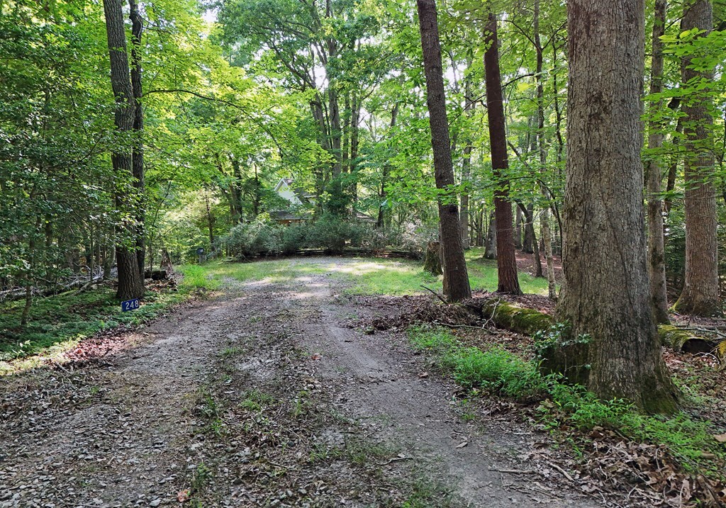 Property Photo: 248 Dogwood Ridge Road GA 30559