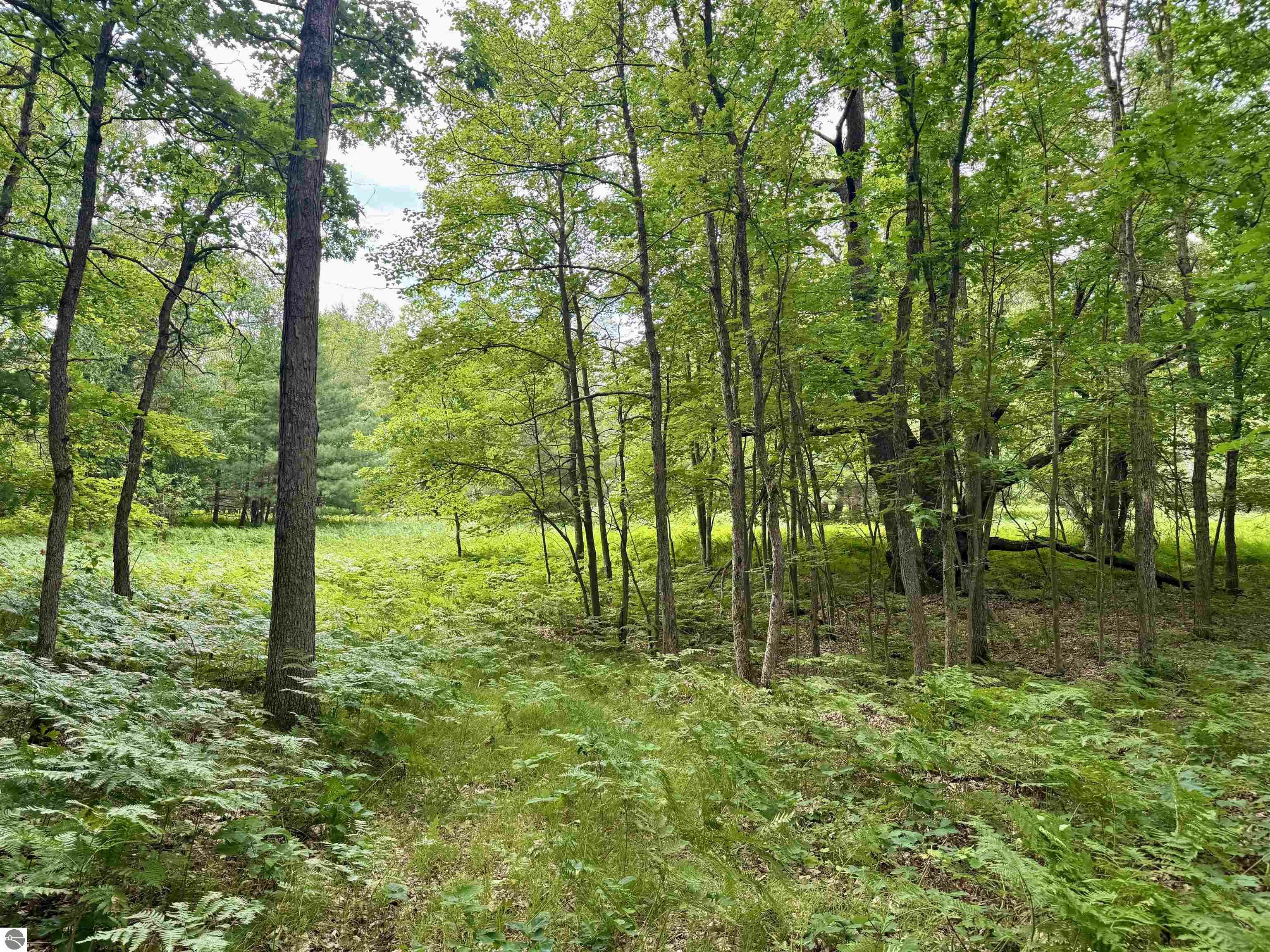 Property Photo: Parcel M Rosted Road MI 49651