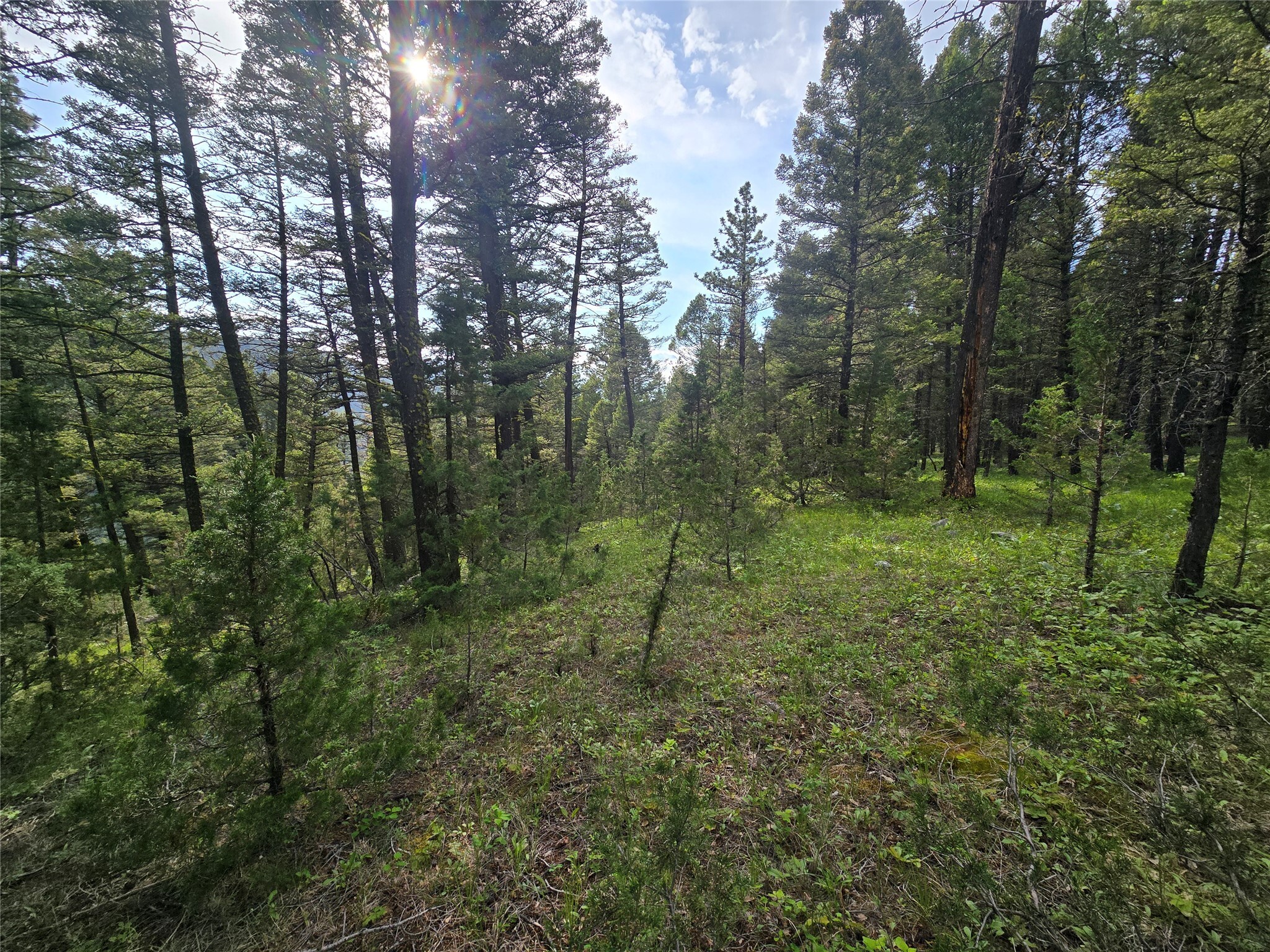 Property Photo: # Johnson Quarta Lode MT 59858