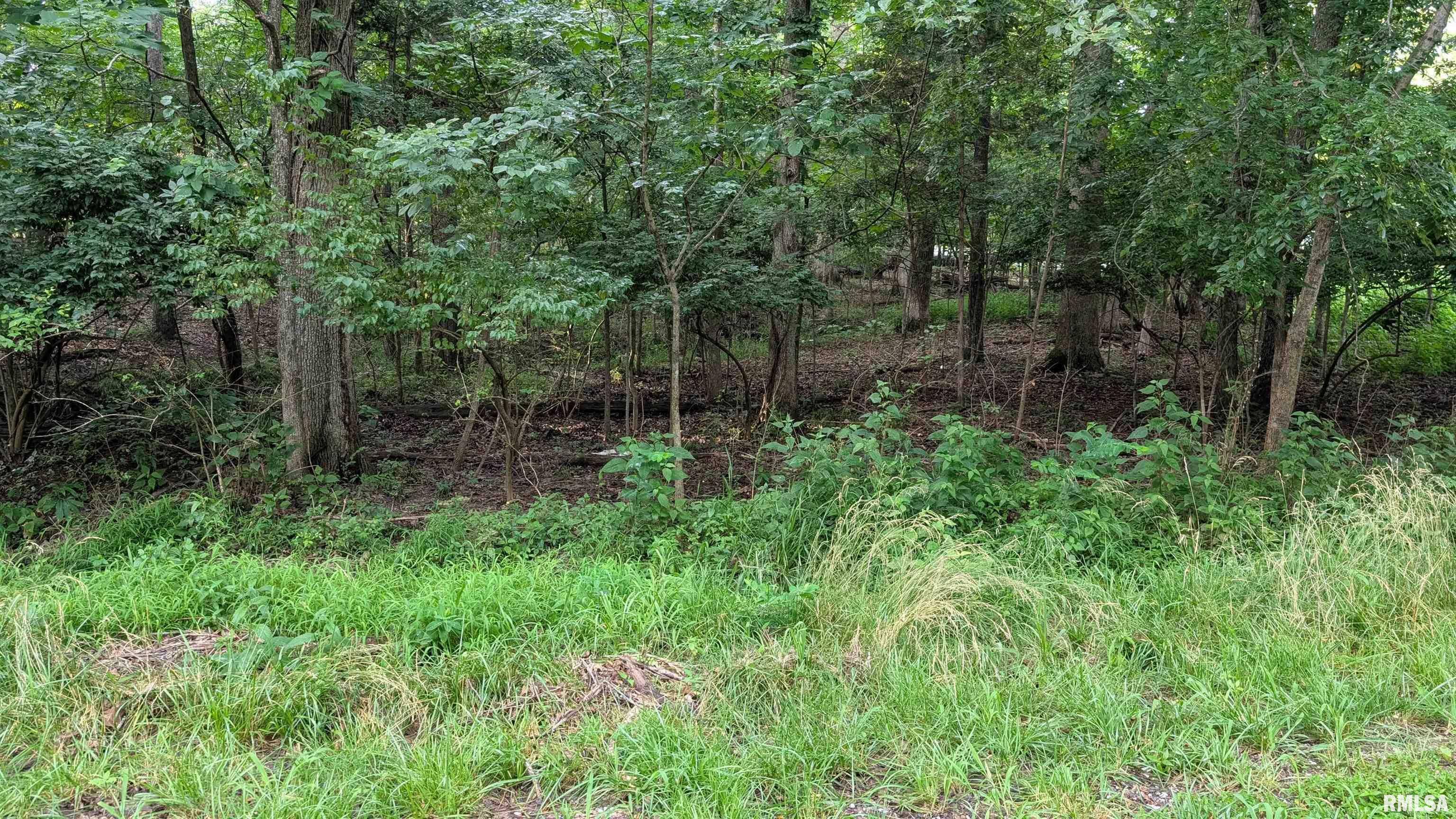 Property Photo: 00 Lake Shore Drive South IL 62939