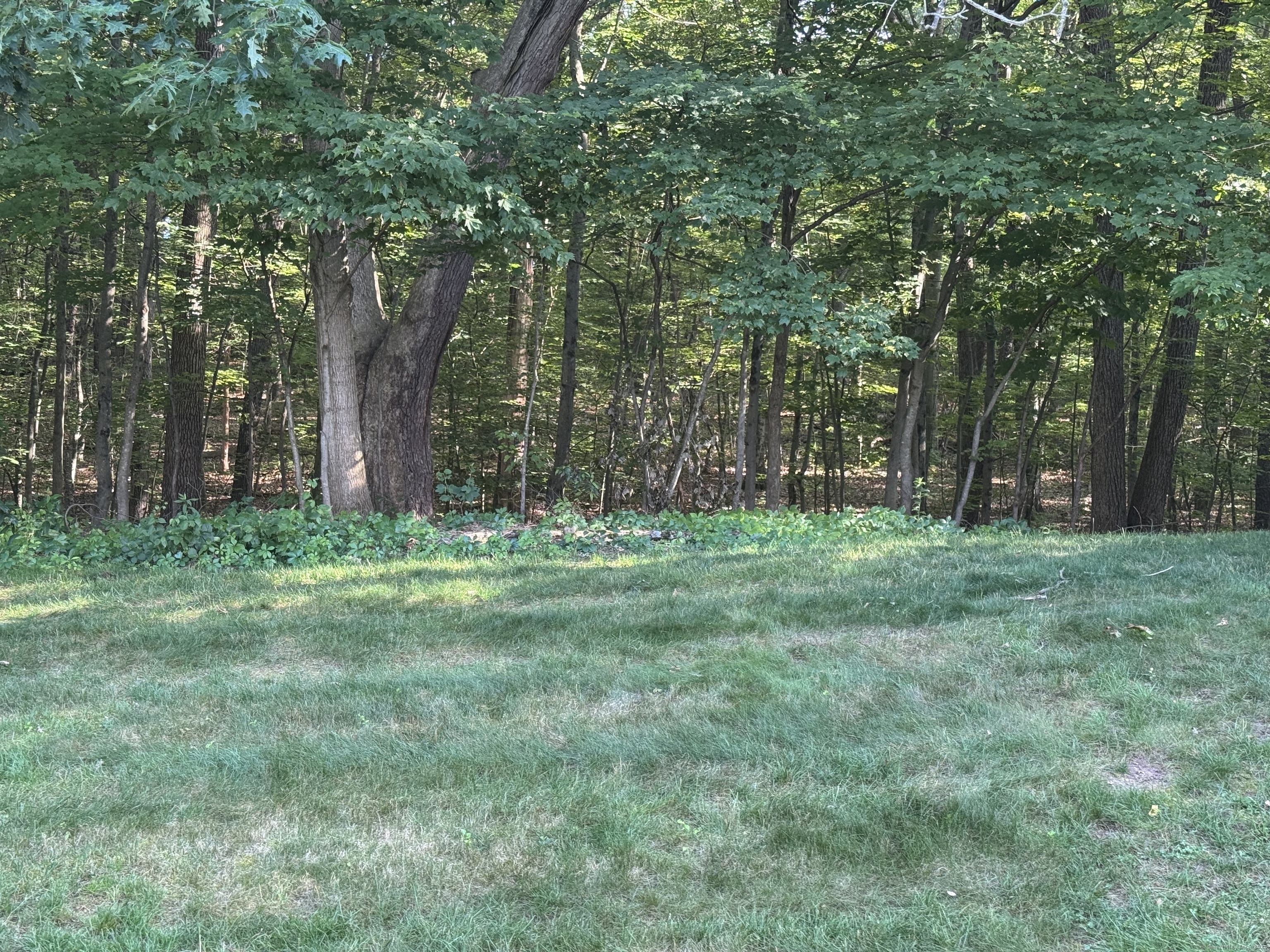 Property Photo:  80 Country Lane Apt 24  CT 06066 