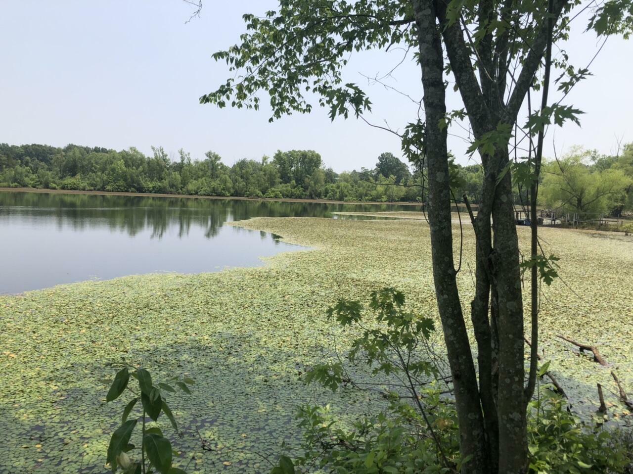 Property Photo: 676 County Road 403 MO 65606
