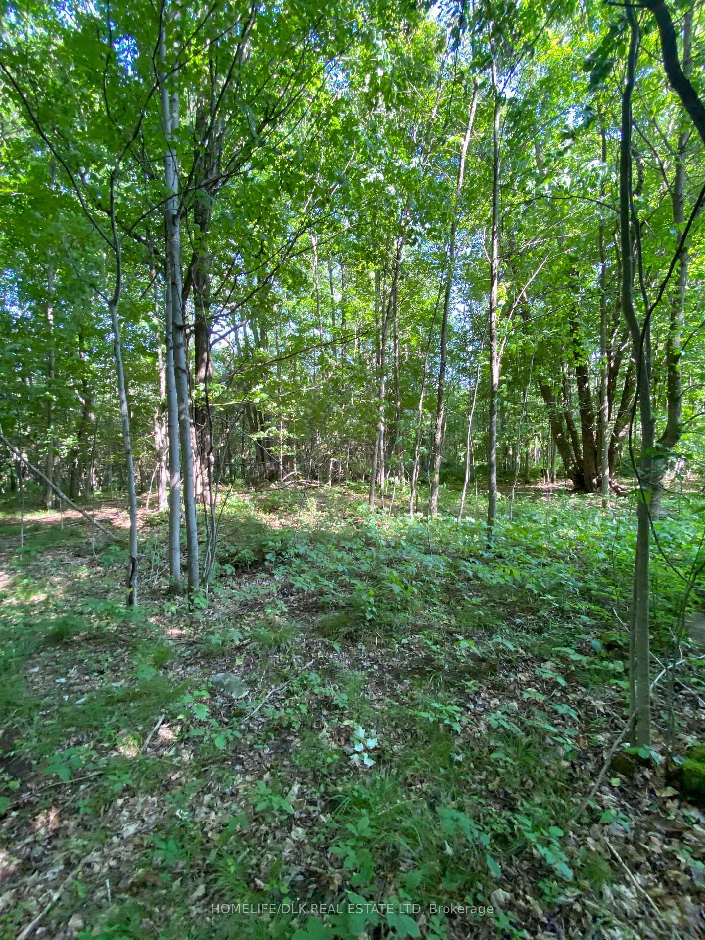 Property Photo: 00 Groveton Road S ON K0E 1X0