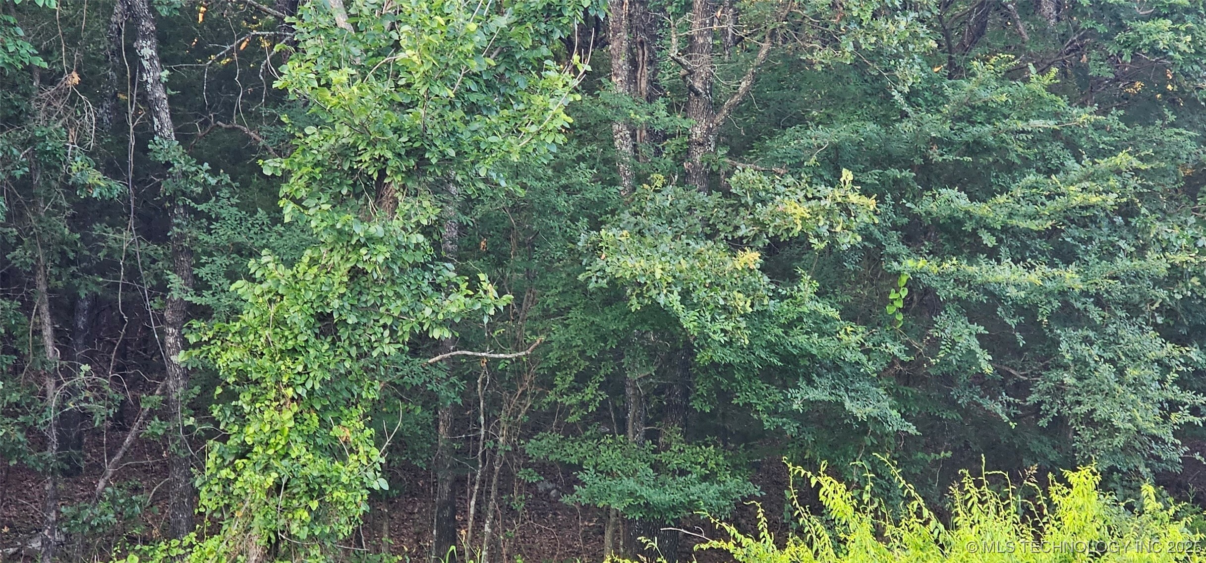 Property Photo: 000000 E Moonshine/1000 Road OK 74435