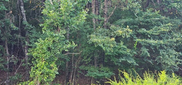 E Moonshine/1000 Road  Gore OK 74435 photo