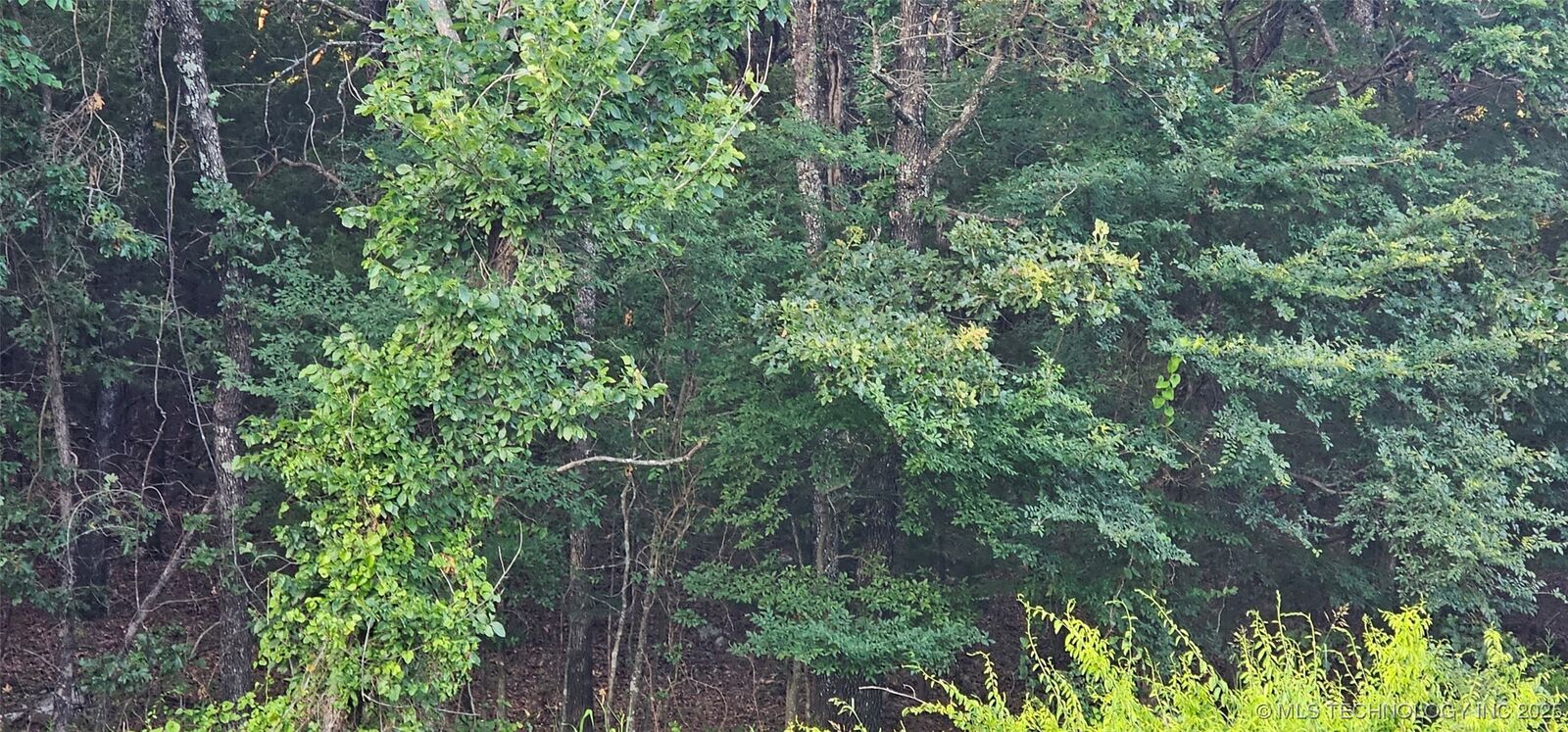 Property Photo:  E Moonshine/1000 Road  OK 74435 