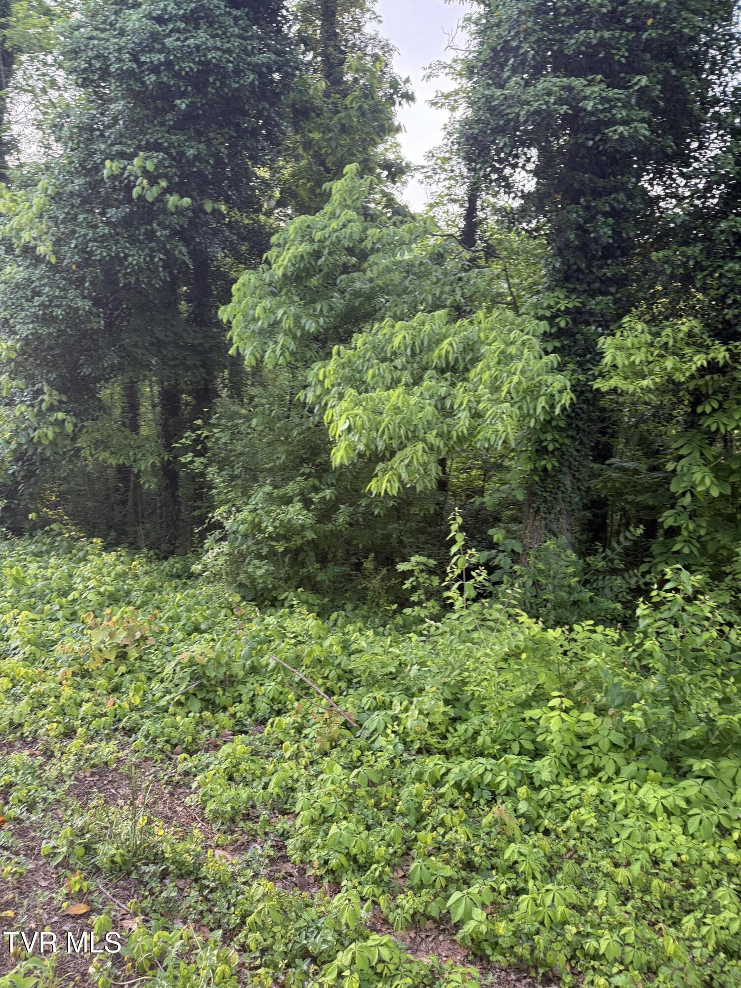 Property Photo: Lot 14 Ashley Street TN 37664