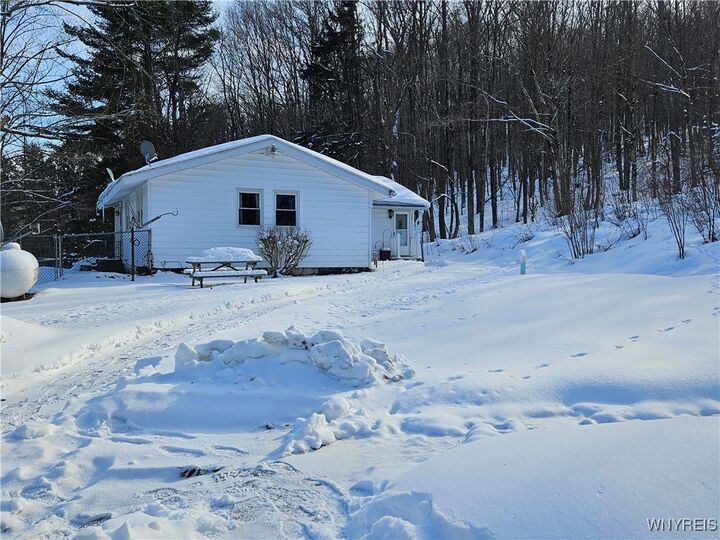 Property Photo:  8905 W Bucktooth Run Road  NY 14755 
