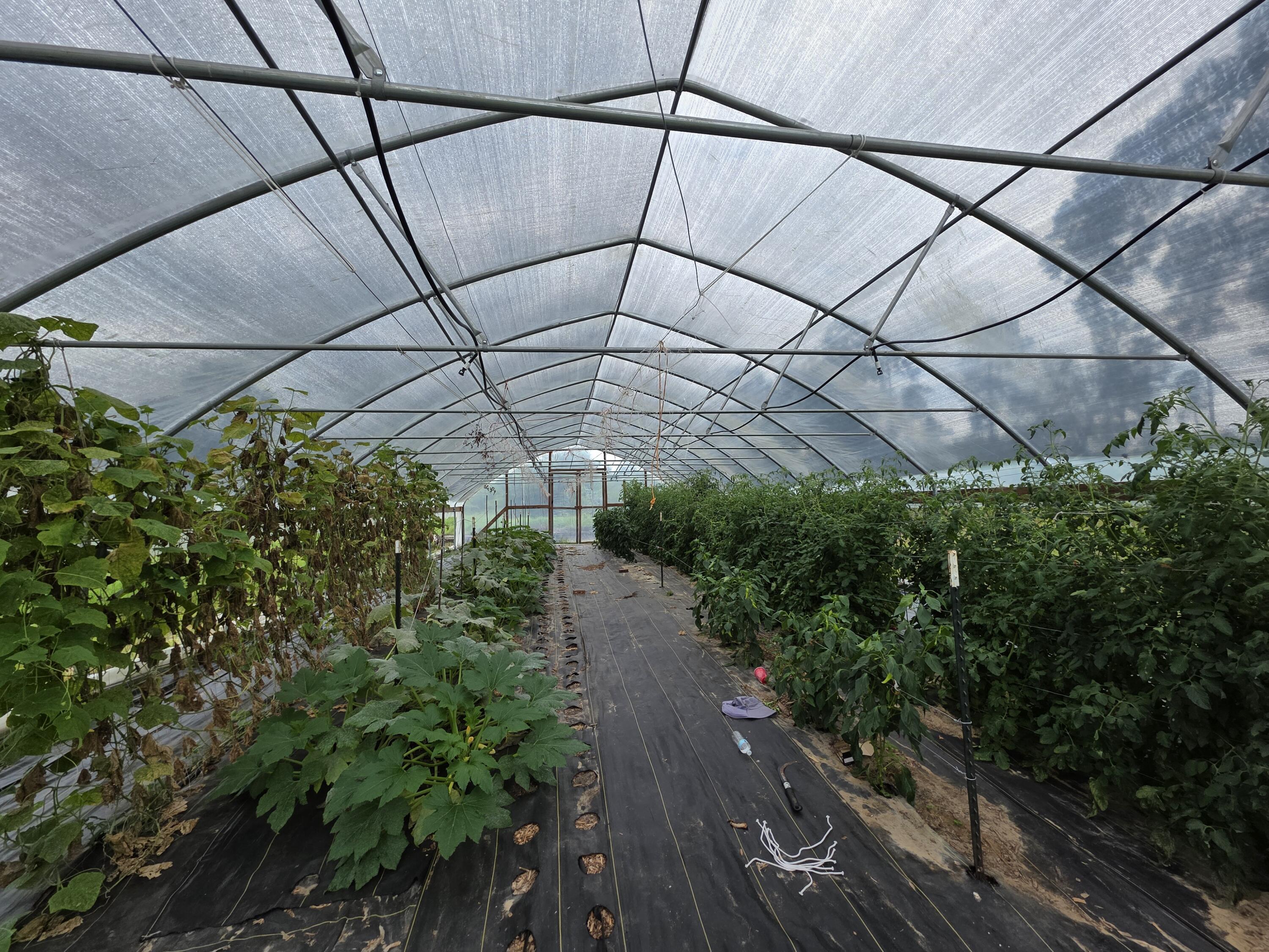 Property Photo:  6249 Highway 4  FL 32531 