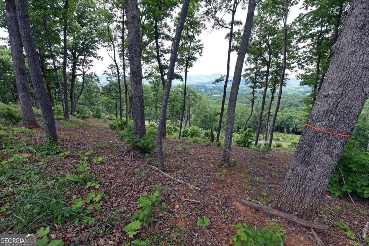 Property Photo: 0 Highland Park Lt 112 GA 30512