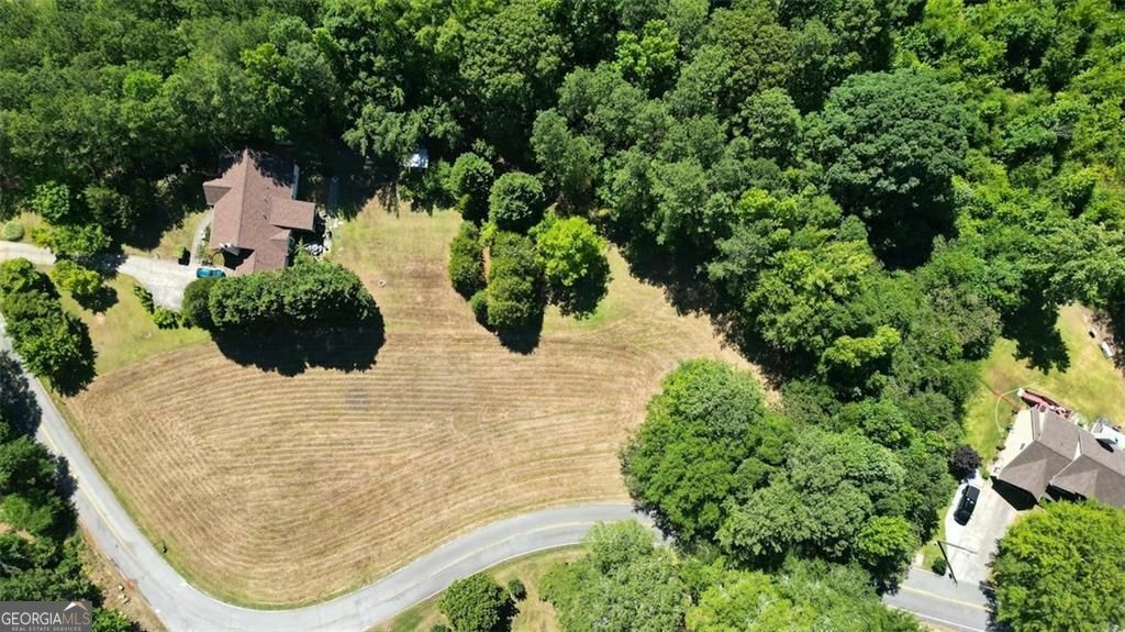 Property Photo:  0 C W Sims Road  GA 30141 