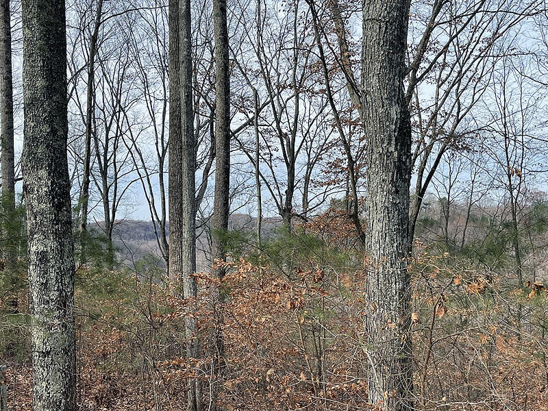 Property Photo: Lot 84 Stillwater KY 42642