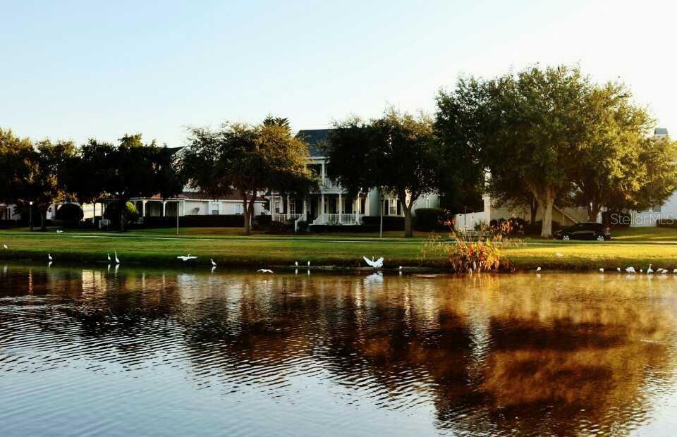 934 Westpark Drive  Celebration FL 34747 photo