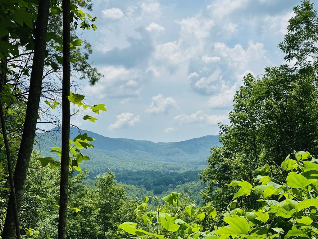 Property Photo: Lot 13 View Ridge Trail NC 28906
