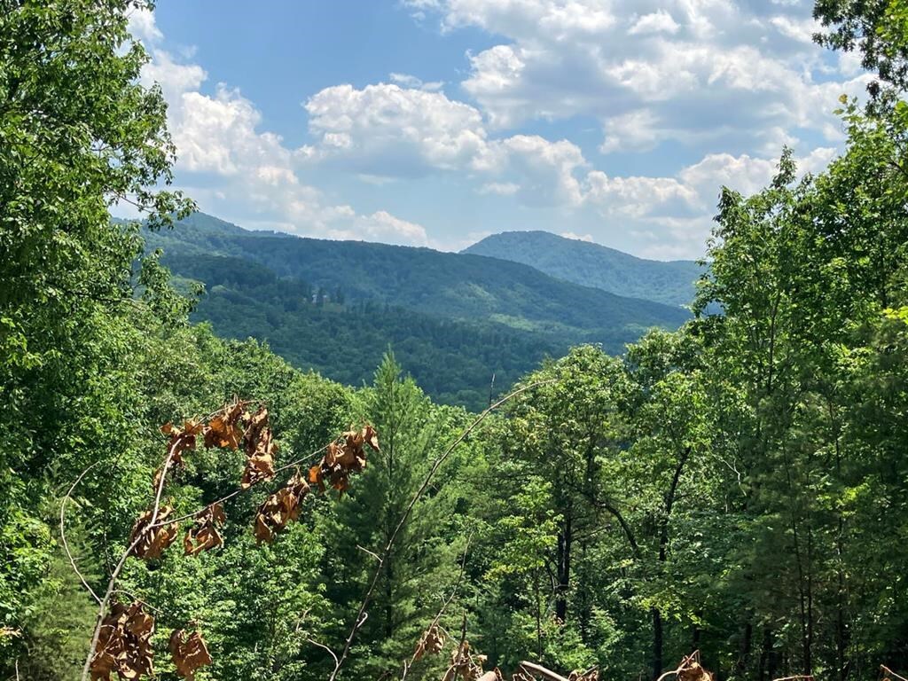 Property Photo:  Lot 14 View Ridge Trail  NC 28906 
