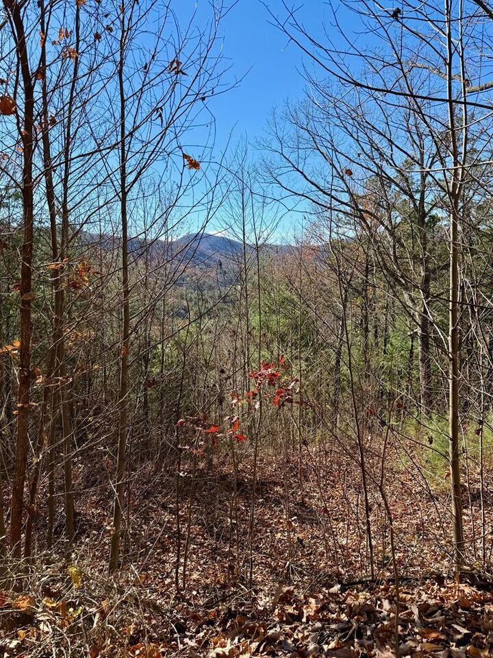 Property Photo:  Lot 14 View Ridge Trail  NC 28906 