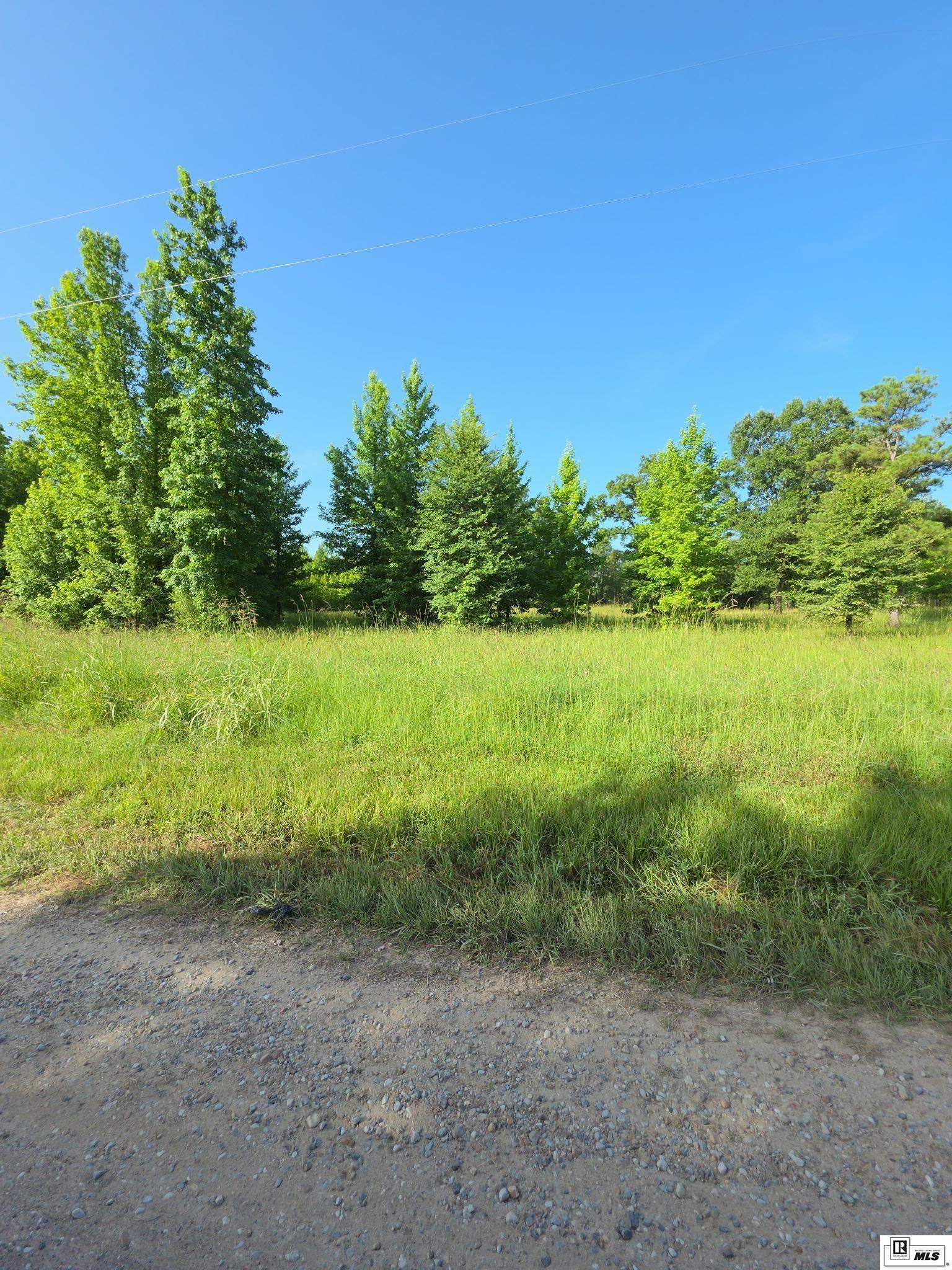Property Photo: Lot 17 Tarver Road LA 71259