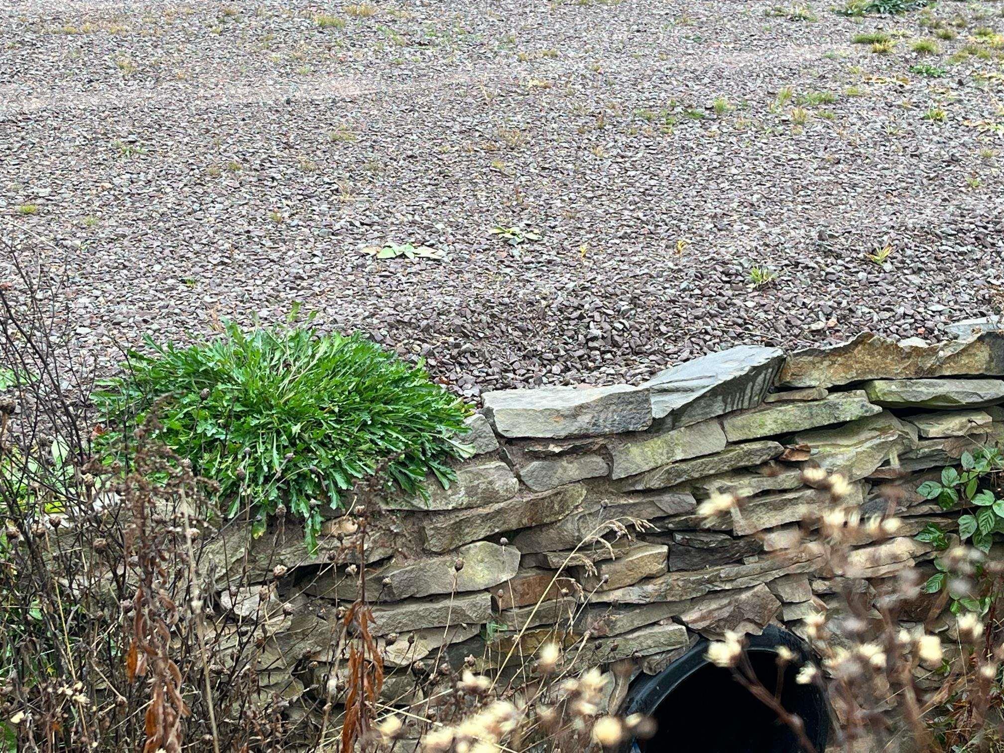 Property Photo: Riversdale Road NS B6L 2L8