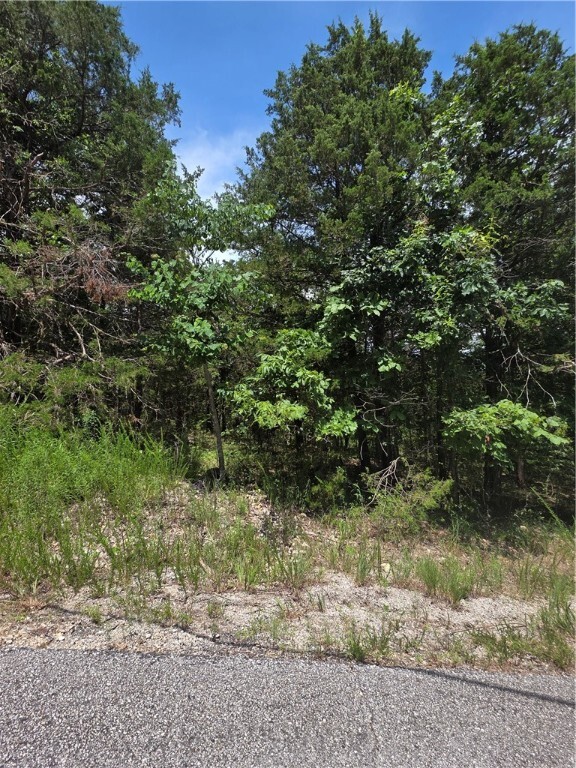 55 Eagle Drive  Holiday Island AR 72631 photo