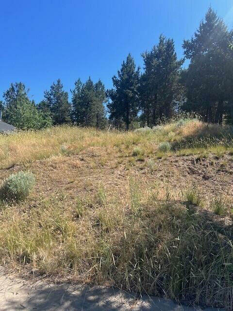 Property Photo: 1415 Red Bud Drive OR 97601