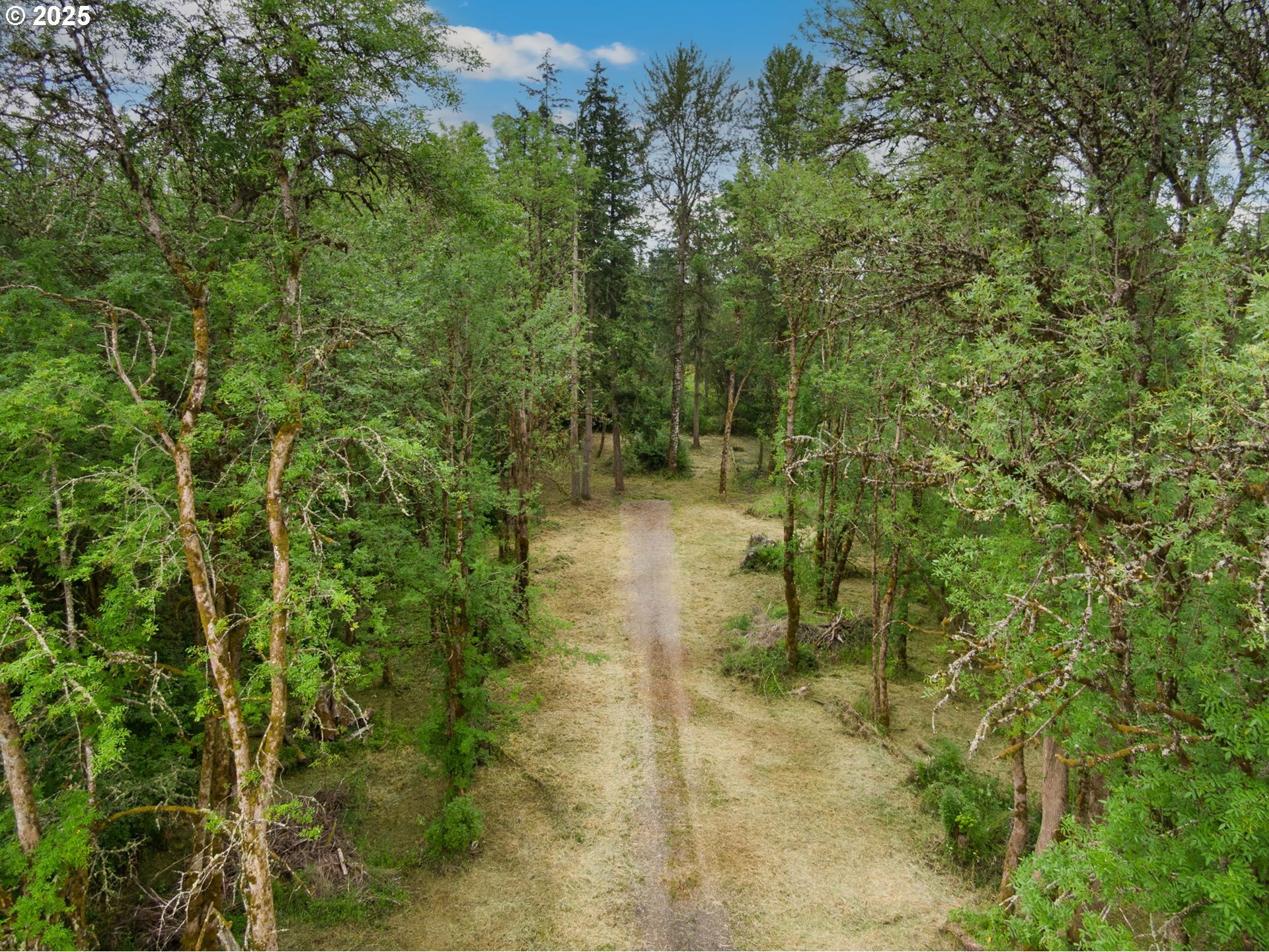 Property Photo:  NE 199th St  WA 98642 
