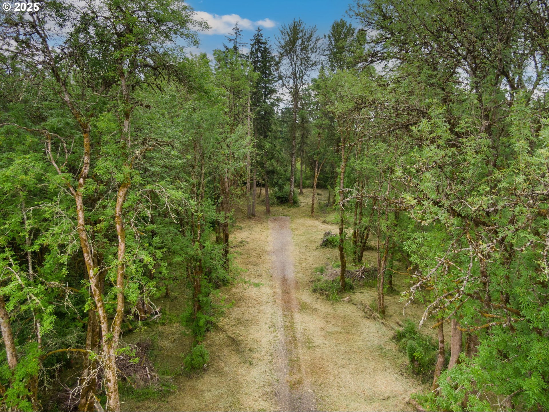 Property Photo:  NE 199th St  WA 98642 