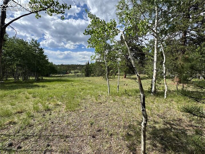 Property Photo: 117 Vagabond Creek Terrace CO 80827