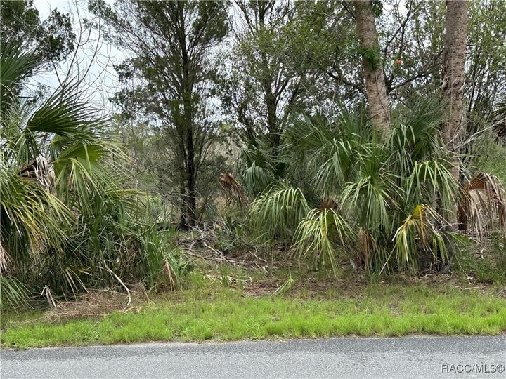 Property Photo:  12345 W Standish Drive  FL 34448 