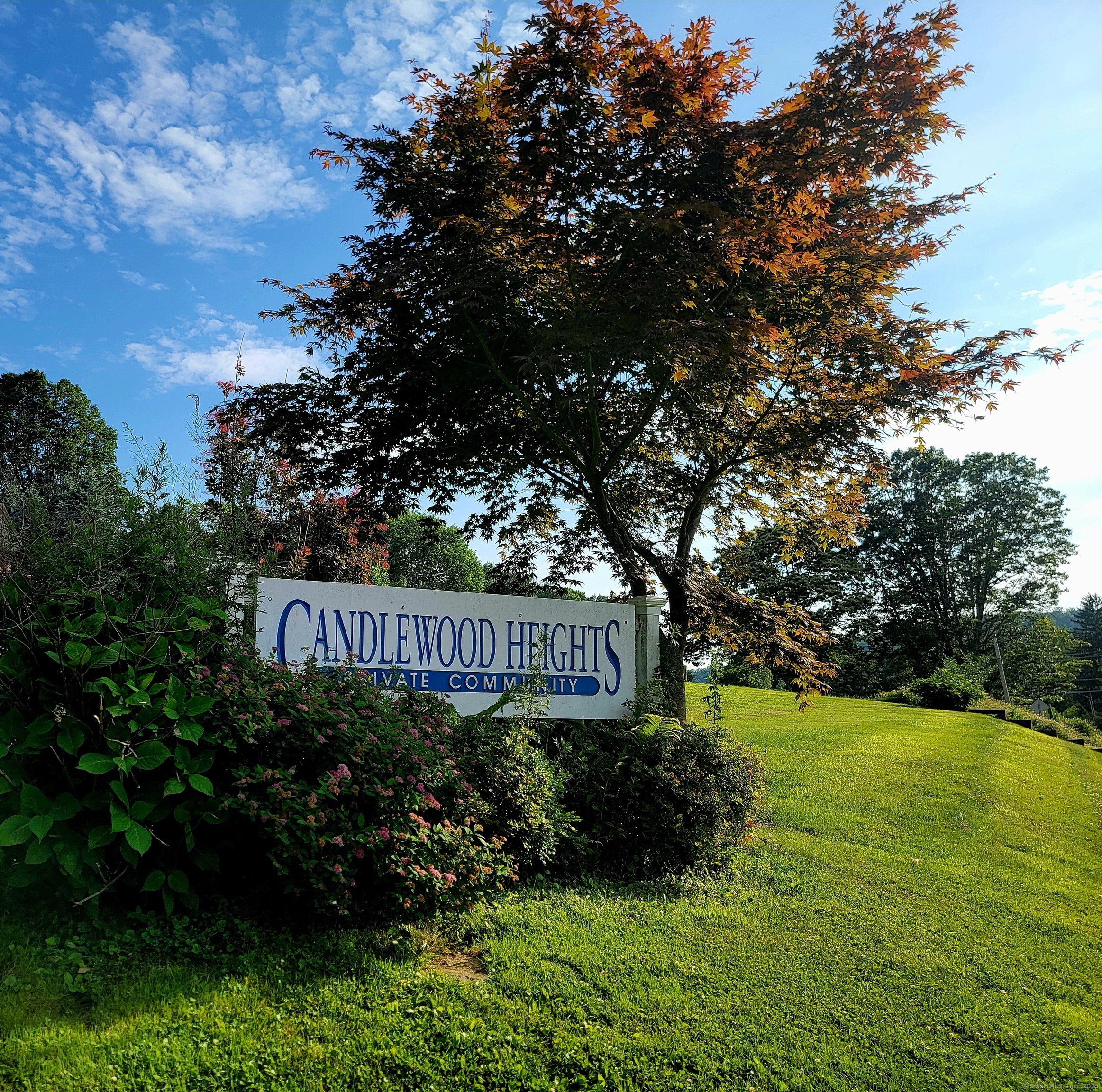Property Photo:  17 Candlewood Heights  CT 06776 