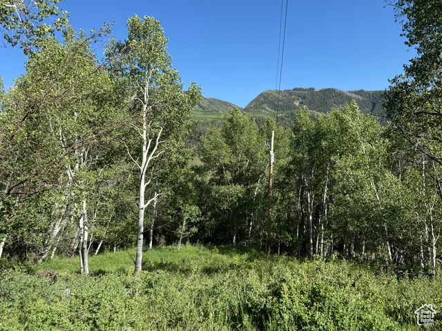 Property Photo: 5592 Fremont Trl 85 UT 84055