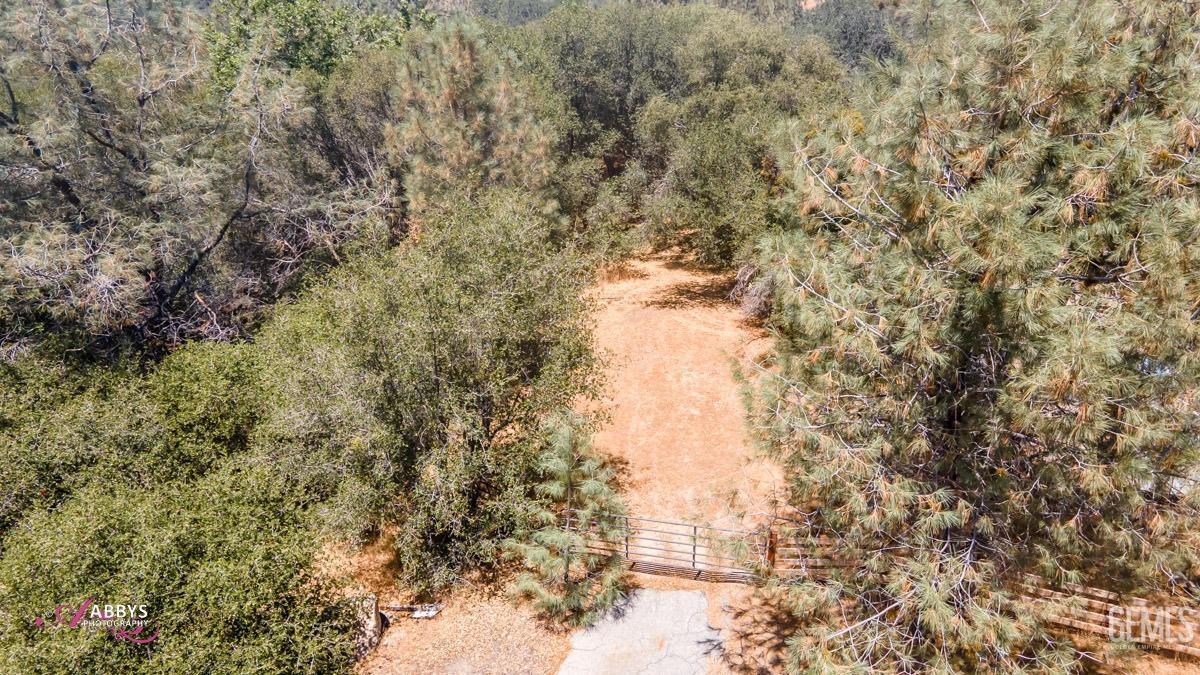 Property Photo: 28060 Carlyle Springs Road CA 93531
