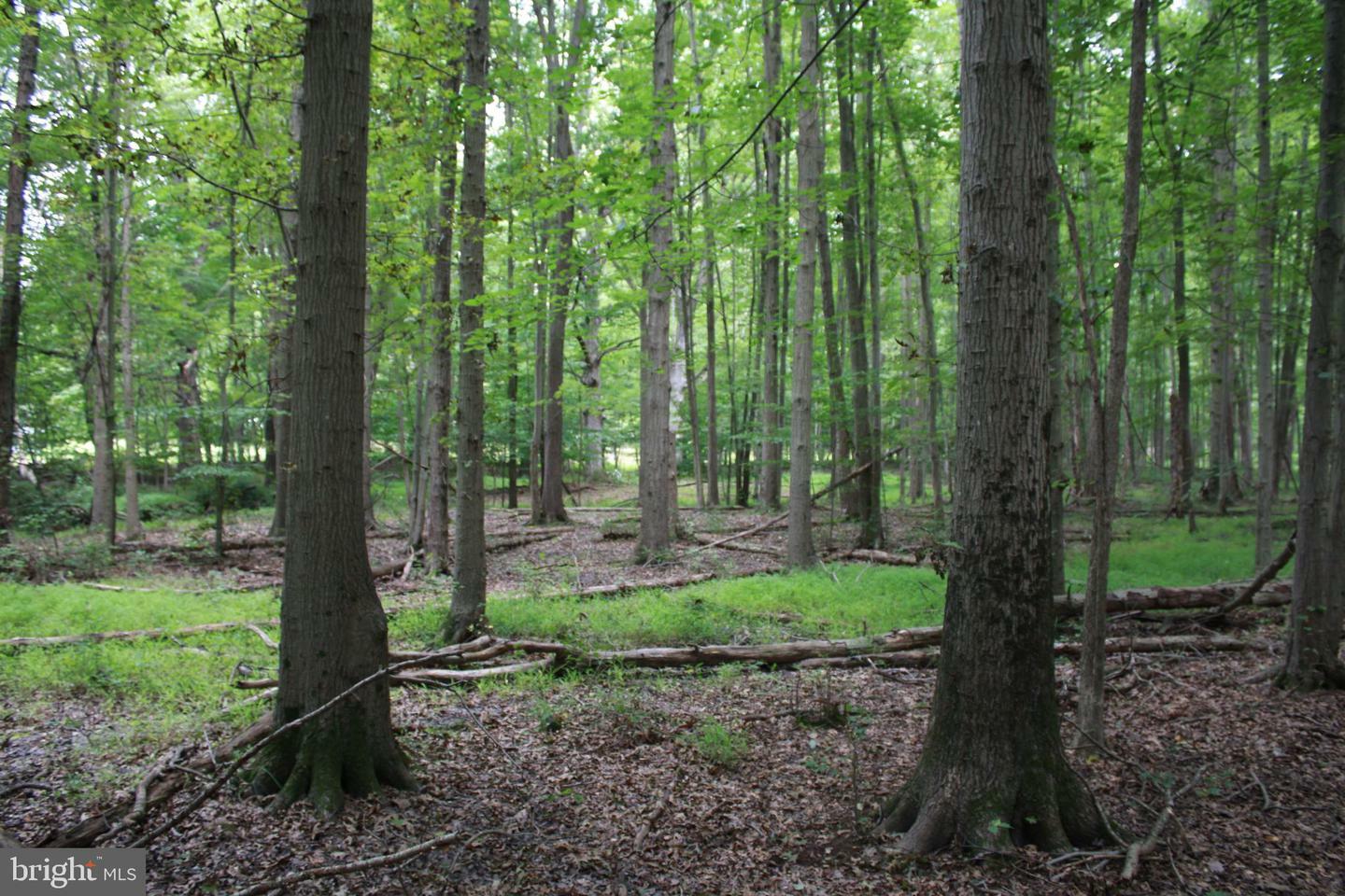 Property Photo:  Conowingo Road  MD 21034 