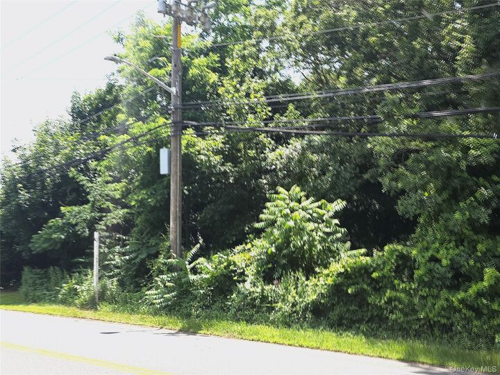 Property Photo:  Vl Yaphank-Middle Island Road  NY 11980 