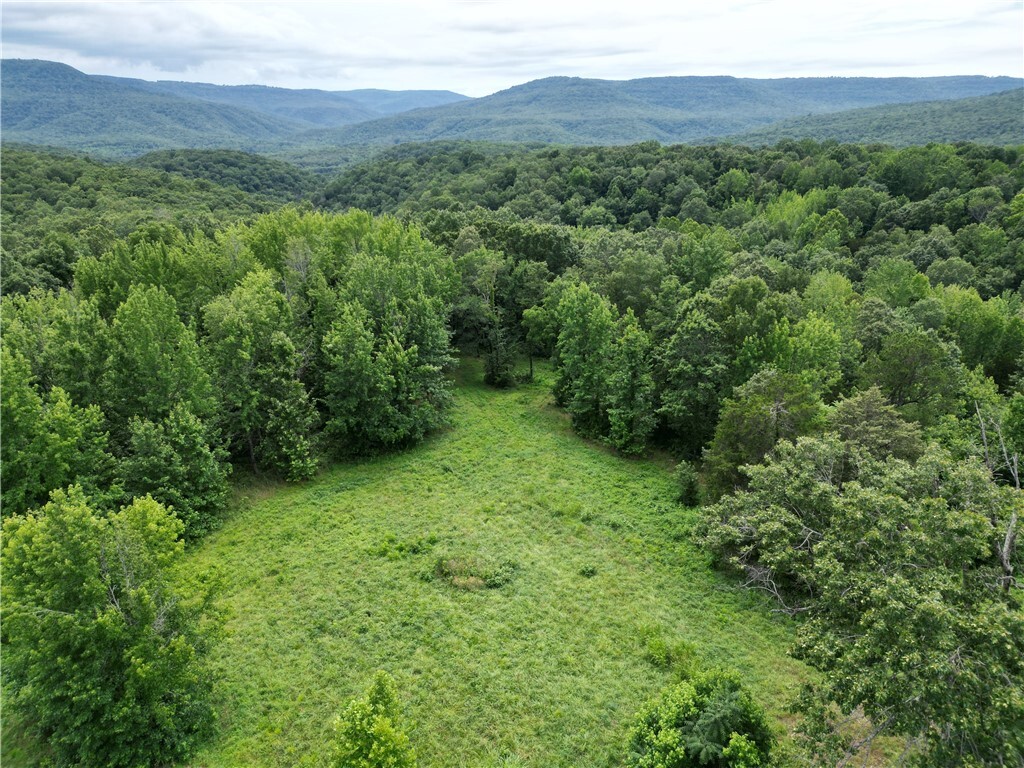 Property Photo:  144 Nc 2857  AR 72648 