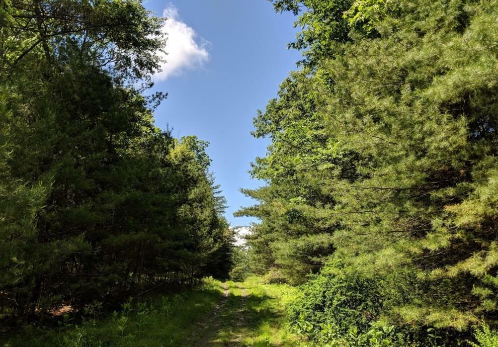 Property Photo:  Lot 9.1 Elle Drive  NY 12737 