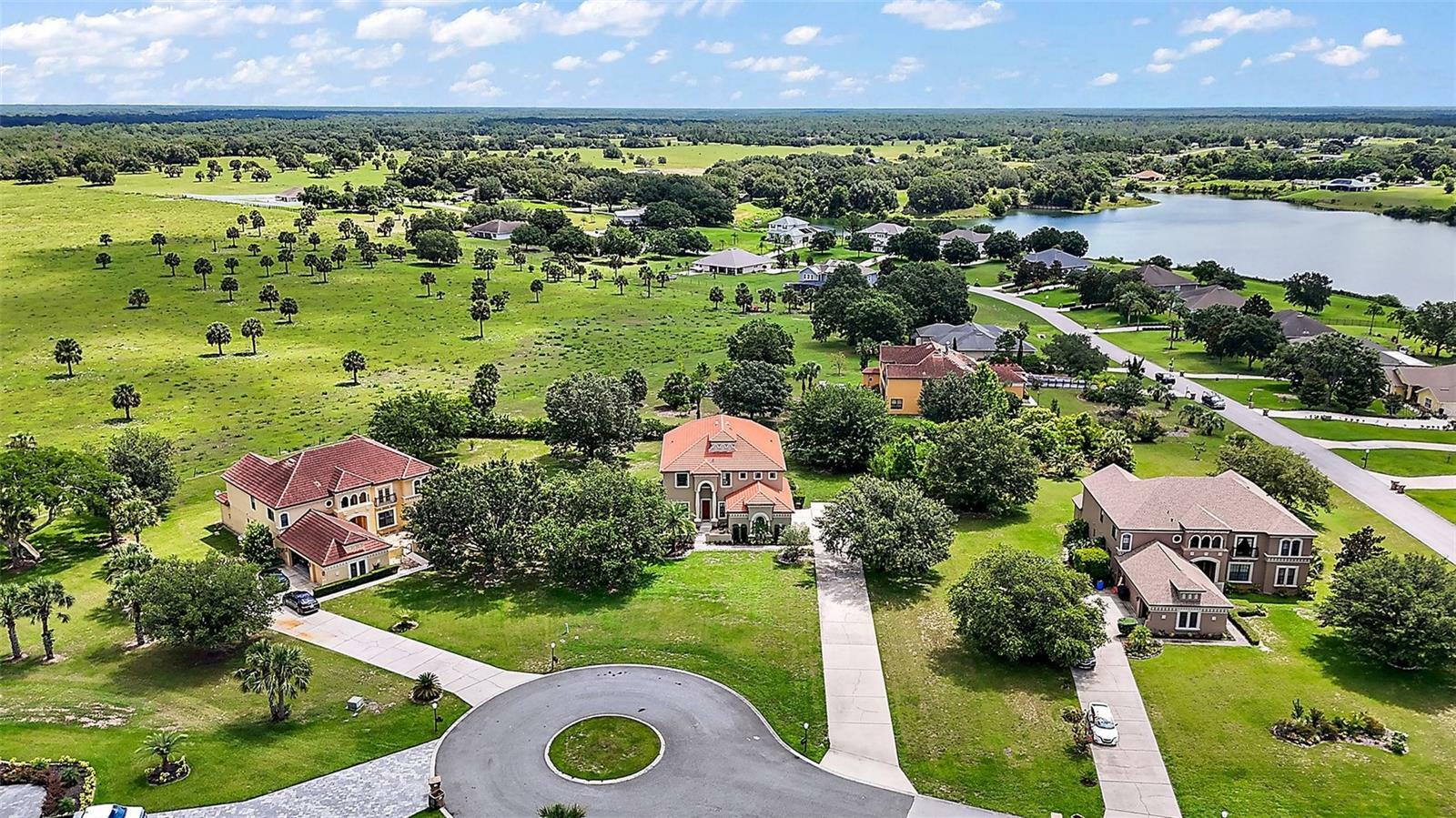 Property Photo:  36914 Bee Meadow Court  FL 32736 