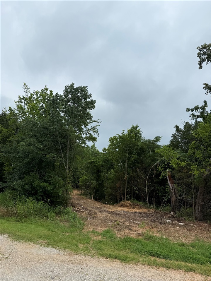 Property Photo: Lot 6A Hunters Ridge Road KY 42276