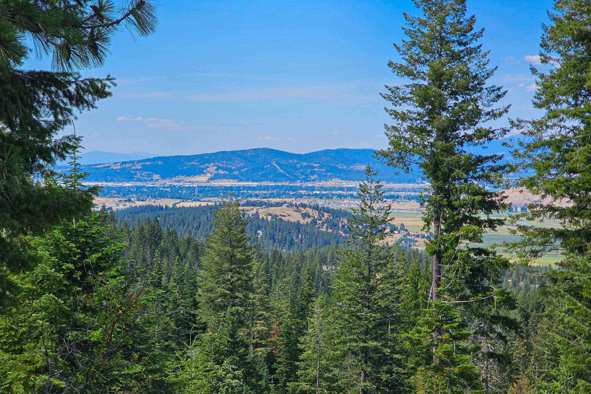 Property Photo:  Nka E Belmont Rd  WA 99023 