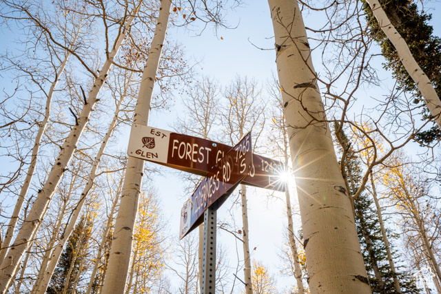 12385 E Forest Rd  Brighton UT 84121 photo