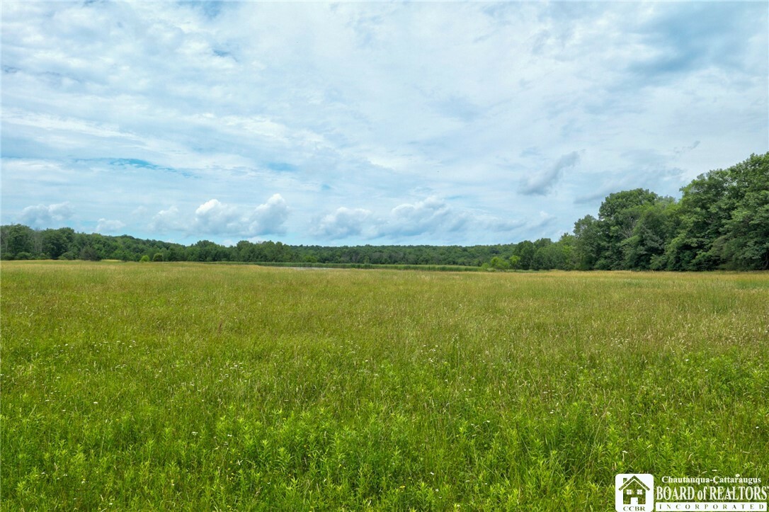 Property Photo:  0 Stow Road  NY 14710 