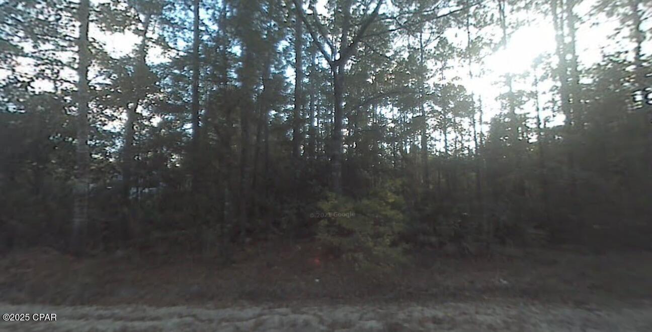 Property Photo: 00 Krocus Street FL 32438