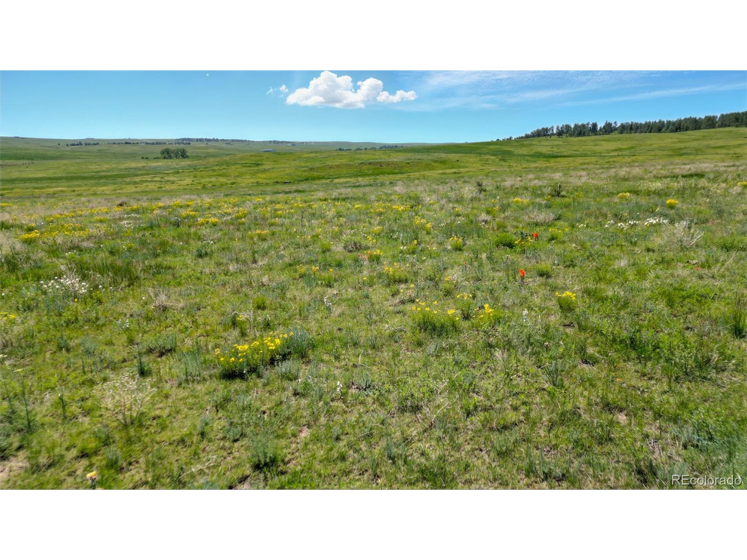 Property Photo: Parcel #3 County Road 91 CO 80832