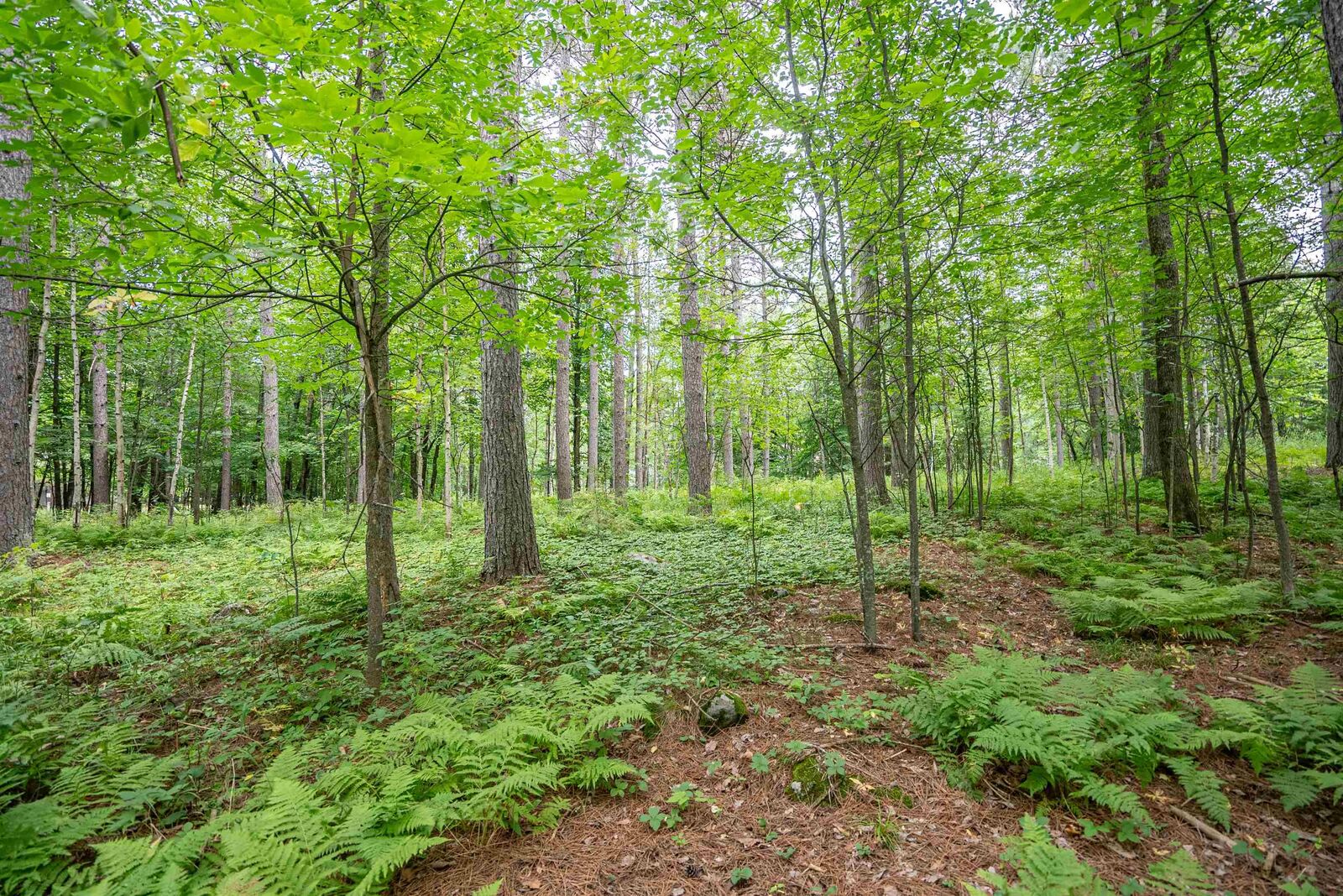 Property Photo:  51xx Lindahl Rd  MN 55811 