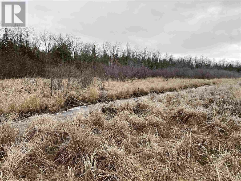 Photo de la propriété:  Lot 2 & 3 Con Nelson Dr  ON P0R 1G0 